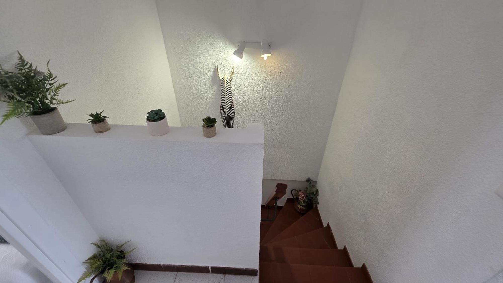 Apartamento Regata Playa Oropesa del Mar Exterior foto